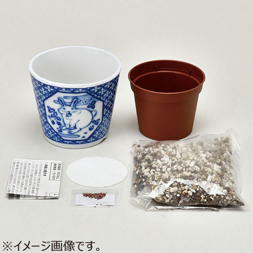 聖新陶芸　染付小紋草加BONSAI　しか／クリサンセマム　GD1022‐3