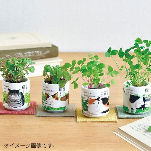 聖新陶芸　お芽でたおちょこ吾輩猫　GD1028−4　クローバー