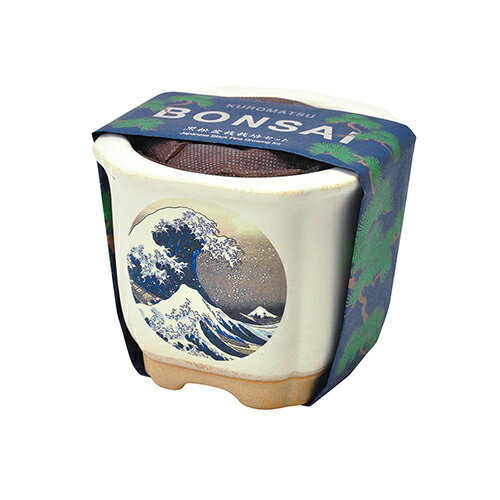 ƫݡBONSAIGD640−3ٻ
