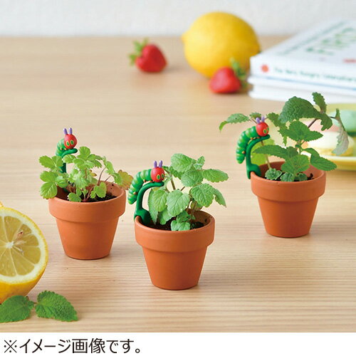 聖新陶芸　はらぺこあおむし　もぐもぐガーデン栽培セット　オレンジバーム　HP04‐03