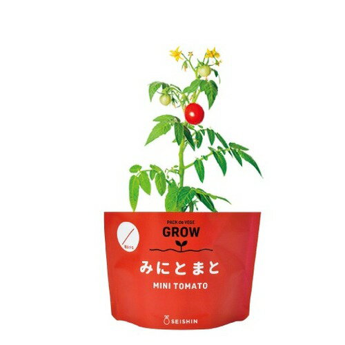 聖新陶芸　野菜栽培キット　ベジパック　GD1058-4　ミニトマト