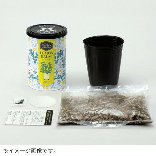 聖新陶芸　ティーガーデン　GD1054-4　カモミール