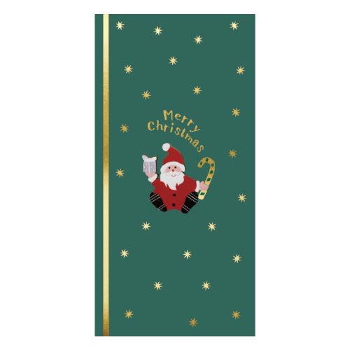 【クリスマス】　包む　祝儀袋　サンタ　グリーン　CK023　1枚入