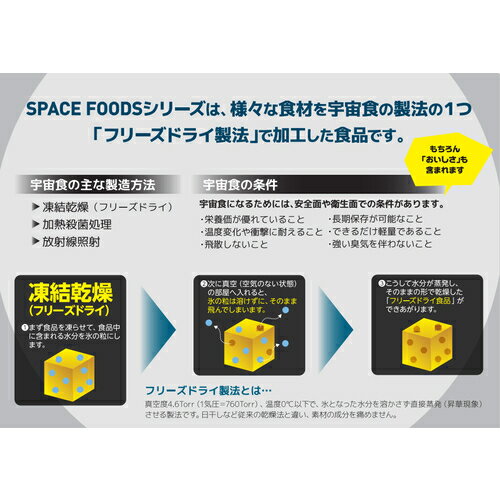 BCC�����ڡ������������꡼�ࡡ�Х˥饢���������迩