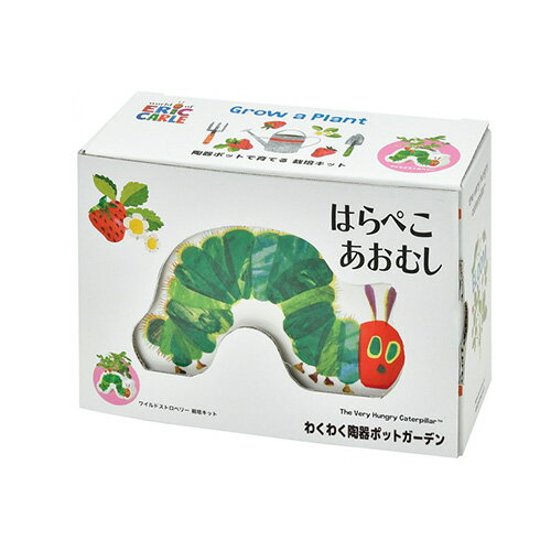 聖新陶芸 はらぺこあおむし わくわく陶器ポットガーデン HP06-02 ワイルドストロベリー