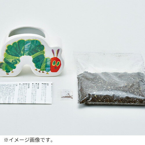 聖新陶芸　はらぺこあおむし　わくわく陶器ポットガーデン　HP06-02　ワイルドスト...