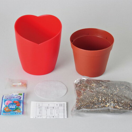 聖新陶芸　ハートマト栽培セット　GD1032