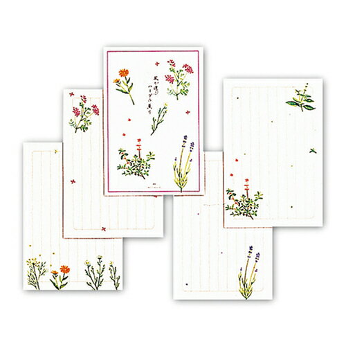 ホールマーク（Hallmark）　葉書箋　819811　ハーブの薫り2