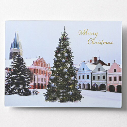 詳細説明【特長】・誰もが憧れるクリスマスシーンを3Dポストカードに仕上げました。・奥行き感のある幻想的なクリスマスの風景をお楽しみください。&nbsp;商品仕様（スペック）サイズ（約）：縦115×横156mm3D効果で素敵なクリスマスシーンを演出