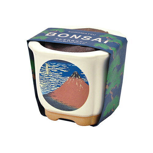 ƫݡBONSAIGD640−4ٻ