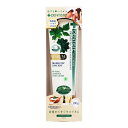 【エントリーで全品ポイント5倍!9月4~11日まで】デンティス(DENTISTE’) チューブ Pro-B 100g