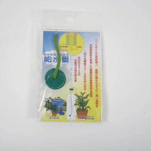 �ڥåȥܥȥ����֡�S��1����