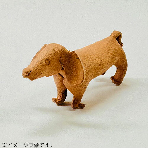 LEATHER��ZOO������եȥ��åȡ����å����ե��