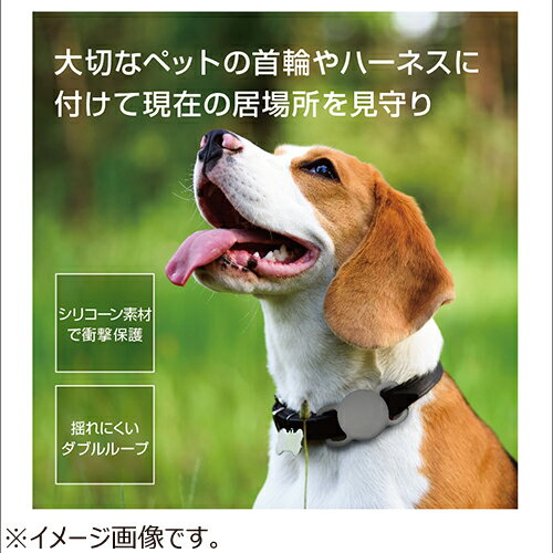 ���꡼��ϥ�����DIGL���ѥ��������꡼���ڥåȥ�������SMAPA��GY�����졼