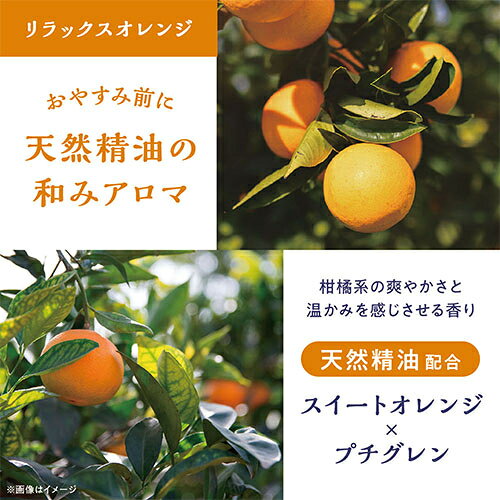 ビューウェル（Beauwell）　アンドグッドナイト　ゆったりバスソルトL　リラックス...