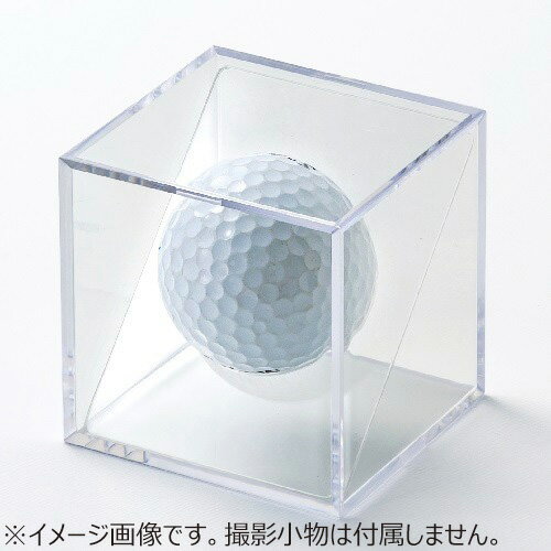 ミノル化学工業　ミノルキューブ専用透明仕切り板　ボールスタンドSサイズ　1枚入