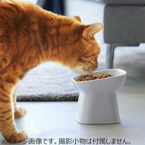 山崎実業　タワー（tower）　食べやすい高さ陶器ペットフードボウル　斜めトール　1781　ホワイト 3