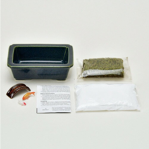 聖新陶芸　禅庭　zen　Garden　GD1047−2　鯉