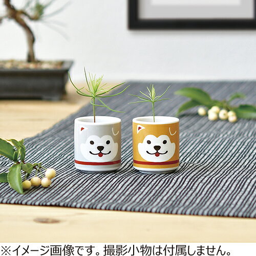 聖新陶芸　お芽でたおちょこハチ　茶　GD922−01