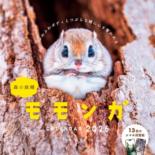 【2026年版・壁掛】　インプレス　森の妖精　モモンガ　6412