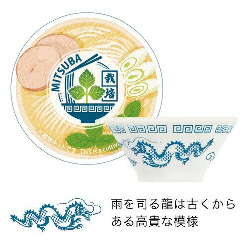 聖新陶芸　ラーメン薬味栽培キット　GD1059-2　三つ葉