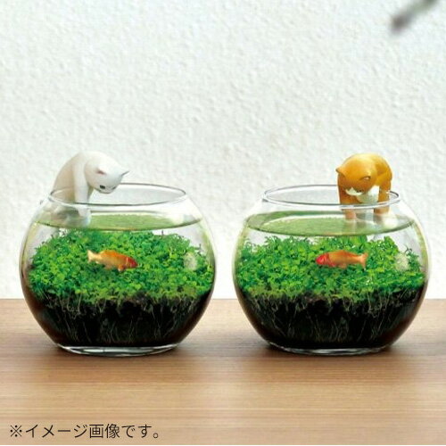 聖新陶芸　猫フィギュア付き水草栽培キット　じゃれ猫水草鉢　GD1056-1　白猫