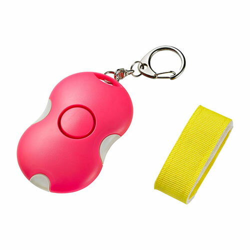 ����ѡ�ELPA�ˡ����ȥ��顼�ࡡ�ˤ��ꡡAKB��207���ԥ�