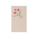 マルアイ お花のぽち袋 チューリップ ノ−ハナ300P 3枚入