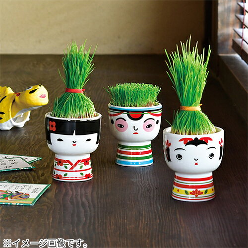 聖新陶芸　芝って栽培キット　KOKESHI　おちょぼ　GD1048-1