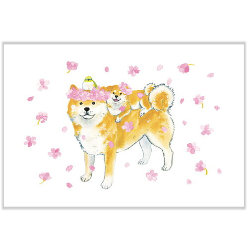 アクティブコーポレーション 春・しばいぬと春の花ポストカード PPA-272h 桜