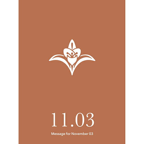 草紙堂　花結びメッセージカード　11月3日