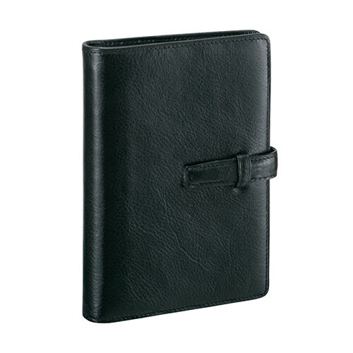 レイメイ藤井　ダ・ヴィンチ（Davinci）　スーパーロイスレザー　ミニ6穴サイズ　ミニ6穴サイズ　DP3008B　ブラック