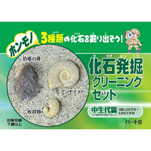 東京サイエンス　化石発掘クリーニングセット　中生代編のサムネイル