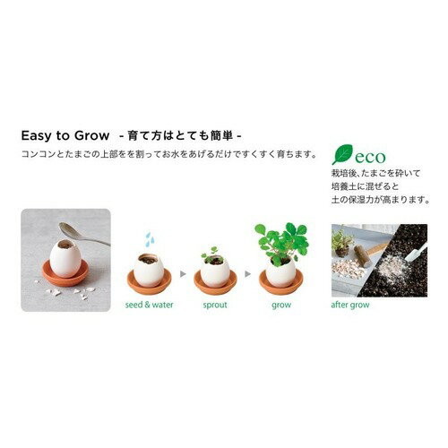 聖新陶芸　エッグリング＆ソーサー　EG61-3　ワイルドストロベリー