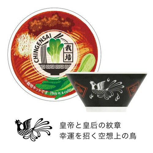 聖新陶芸　ラーメン薬味栽培キット　GD1059-3　チンゲンサイ