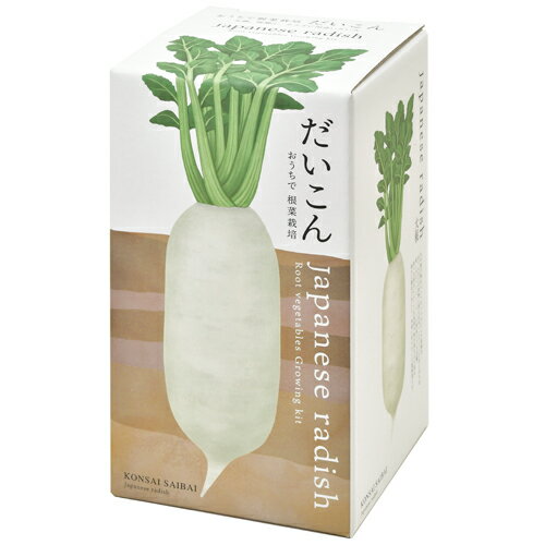 聖新陶芸　おうちで根菜栽培　GD891‐1　だいこん│園芸用品　ミニ盆栽・栽培セットのサムネイル