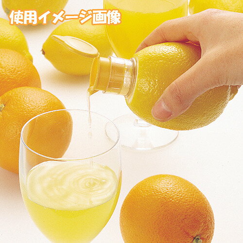 ���󡦥���󥸥��塼����