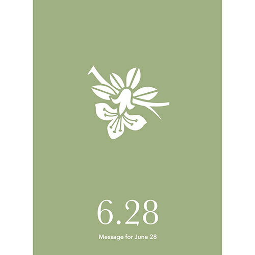 Other - 草紙堂　花結びメッセージカード　6月28日