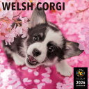 【2026年版・壁掛】 ピクトワン(PICTWAN) ウェルシュ・コーギー L版 L027