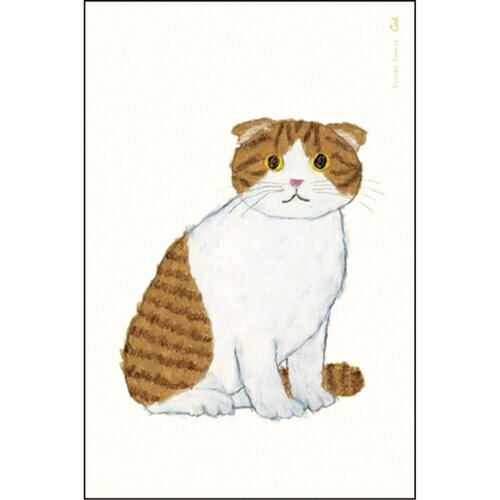 グリーティングライフ　米津祐介　ポストカード　YZ−357　スコティッシュ