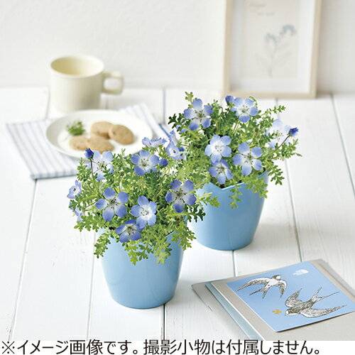 ����ƫ�ݡ������β֡��ͥ�ե�����ݥ��åȡ�GD929