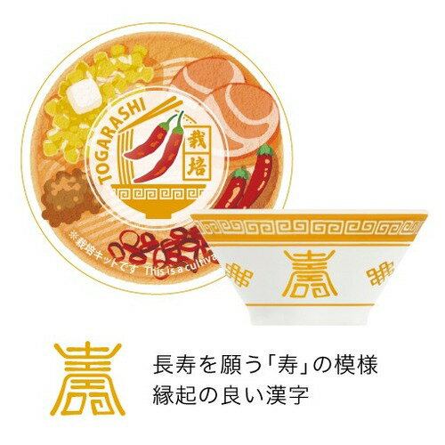 聖新陶芸　ラーメン薬味栽培キット　GD1059-4　唐辛子