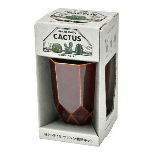 聖新陶芸　HACHIKAKU　CACTUS　GD1057-1　茶/丸サボテン