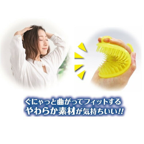 ���ܶⷿ��Ķ���餫�ե��åȥ����ס��֥饷���ԥ�