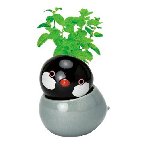 聖新陶芸　コロコロバード（COROCORO　Bird）　GD1053-2　ブンチョウ/レモンバーム