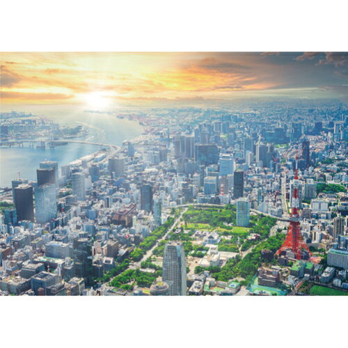 エヌ・ビー・シー　空から見た東京　東京−139