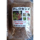 カラーヤシ繊維　茶　50g│園芸用品　その他　園芸用品