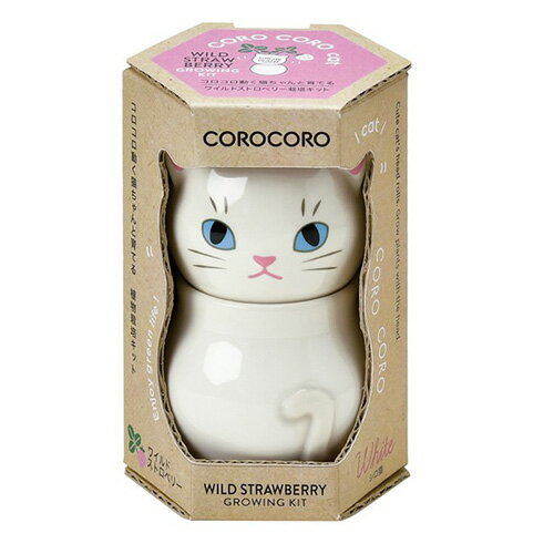 聖新陶芸　コロコロキャット　GD1026−3　ワイルドストロベリーのサムネイル