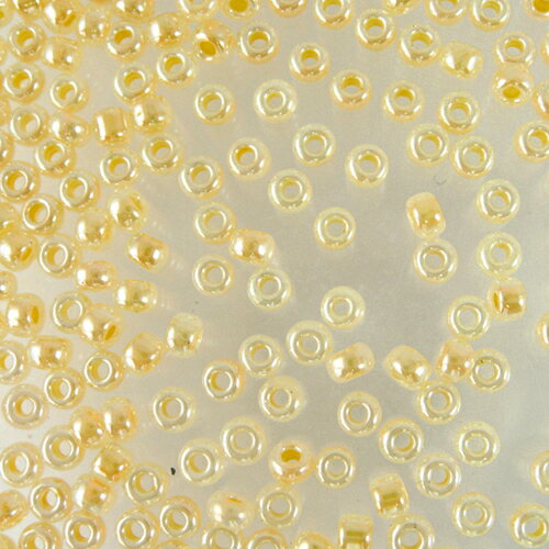 �ߥ業���ݾ��ӡ������������ӡ�����3g��No.516