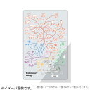 グリーンフラッシュ(GreenFlash) STUDY HOLIC クリアブックマーク ST−374 進化生物学(3)